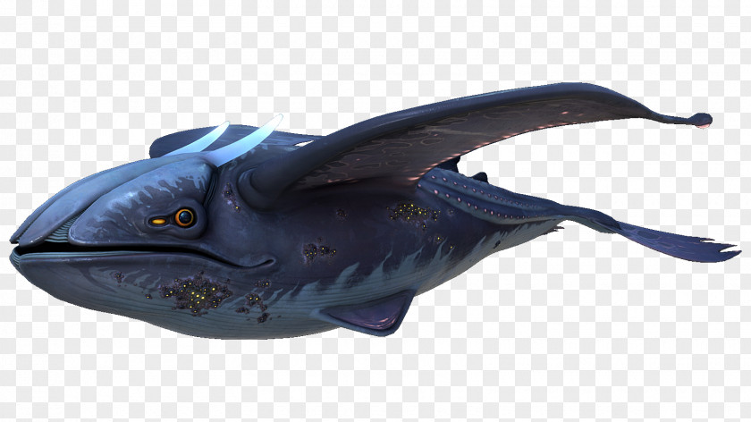 Dolphin Subnautica: Below Zero Whales Video Games PNG