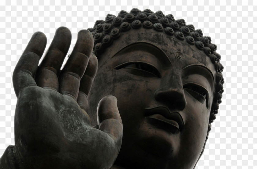 Free To Pull The Big Buddha Head Tian Tan Po Lin Monastery Buddhahood Buddhism Statue PNG