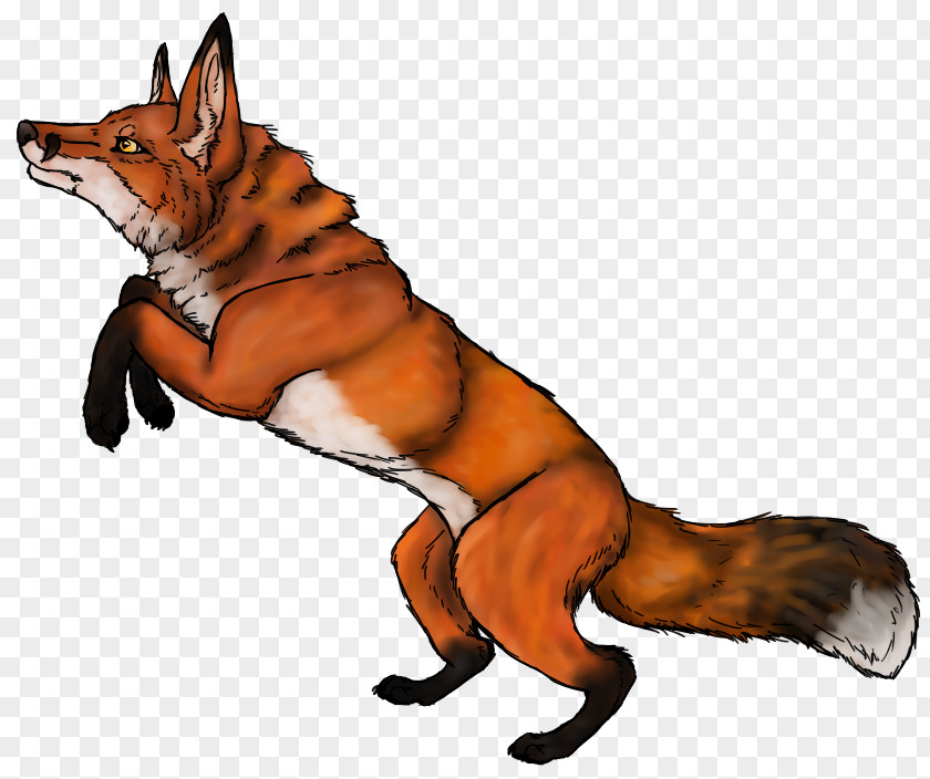 Red Fox Images Free Clip Art PNG