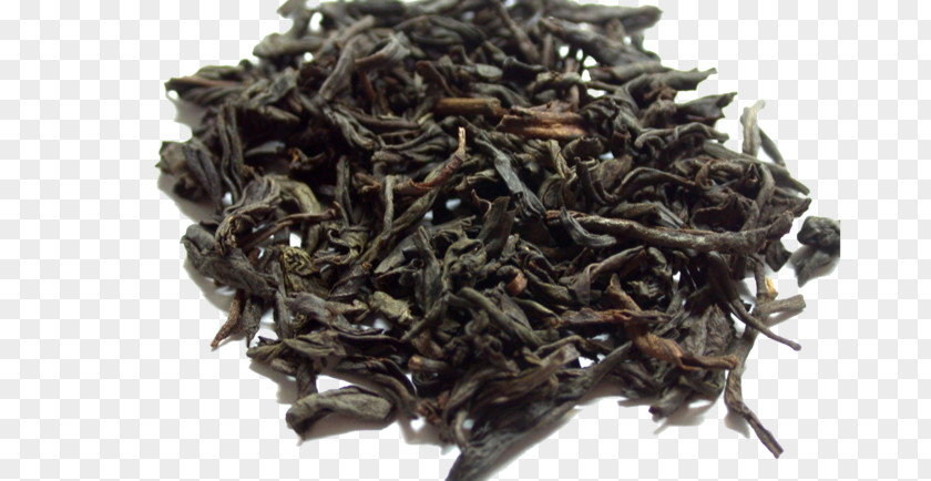 Tea Lapsang Souchong Leaf Grading Oolong Earl Grey PNG