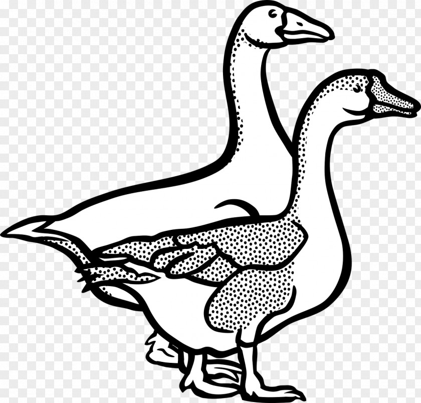 Goose Line Art Duck Clip PNG