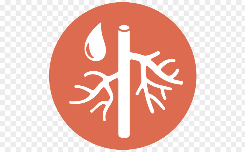 Health Hypertension Aortic Dissection Vascular Surgery Medicine PNG