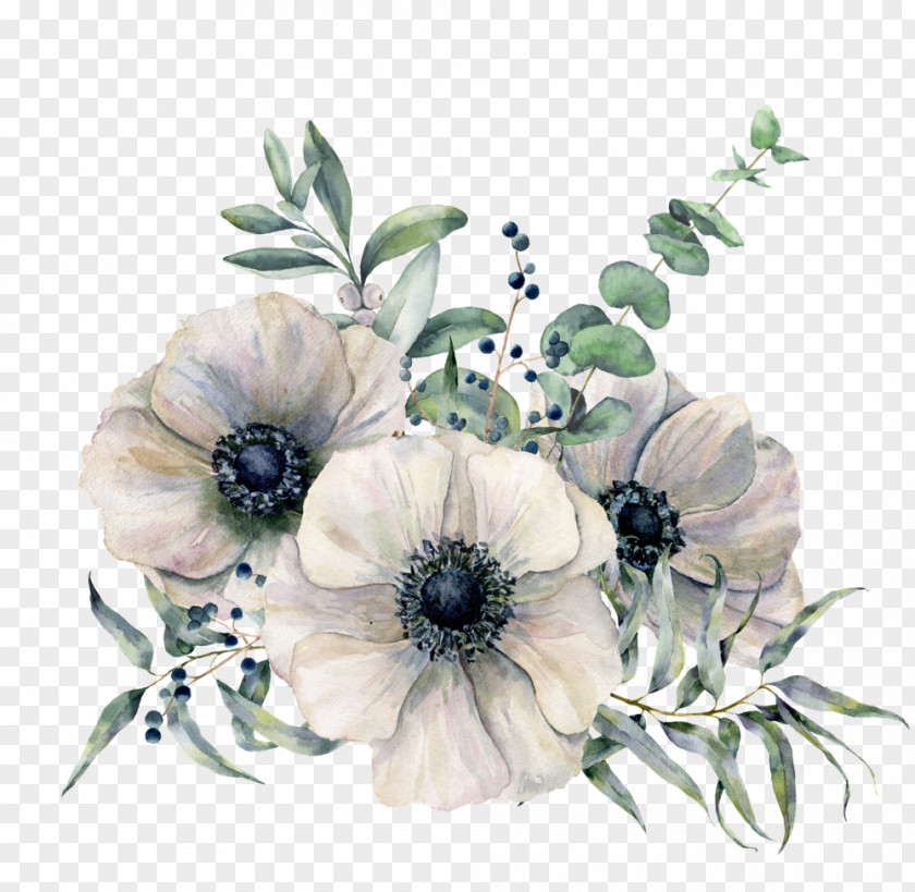 Magnolia Oriental Poppy Bouquet Of Flowers Drawing PNG