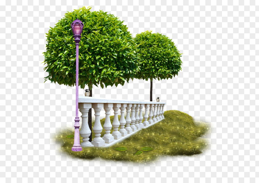 Deco Tree Photography Clip Art PNG