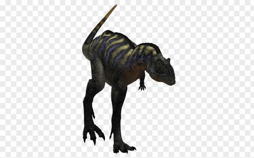 Dinosaur Creative Tyrannosaurus Aucasaurus Spinosaurus PNG