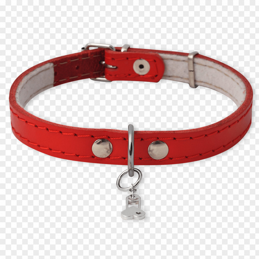 Dog With Collar PNG