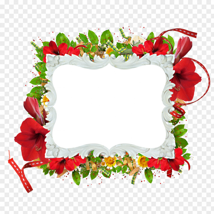 Floral Frame Picture Frames Photography Blog PNG