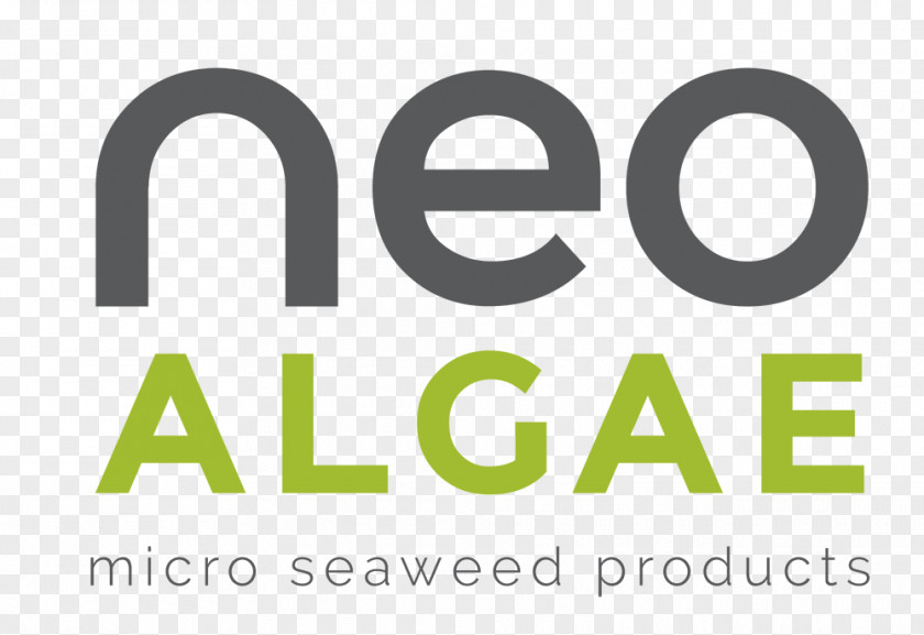 Jefe Neoalgae Jamie's Italian Den Haag Technology Empresa PNG