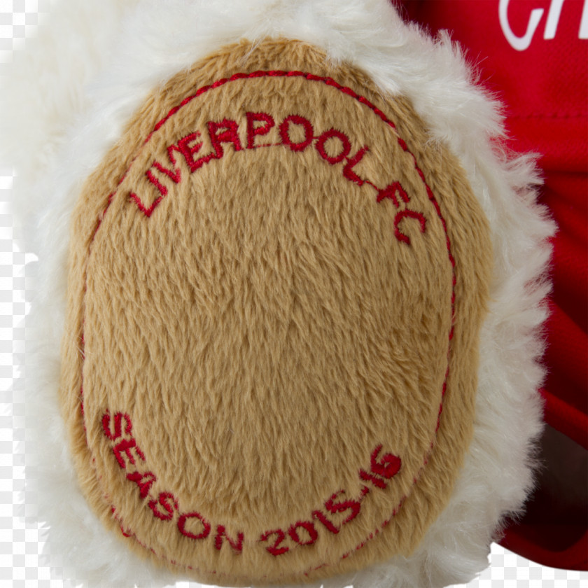 Liverbird Liverpool Fur Snout PNG