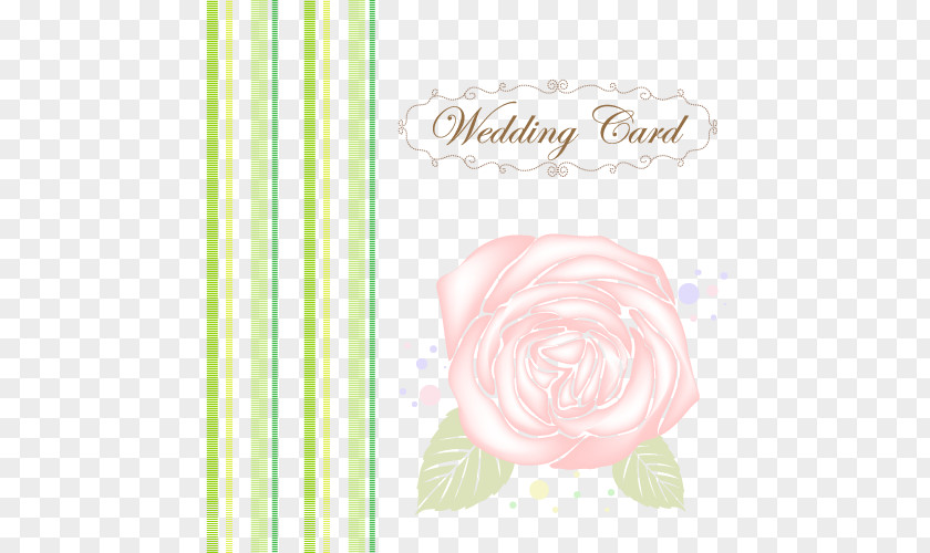 Wedding Card Vector Elements Paper Floral Design Rosaceae Pattern PNG