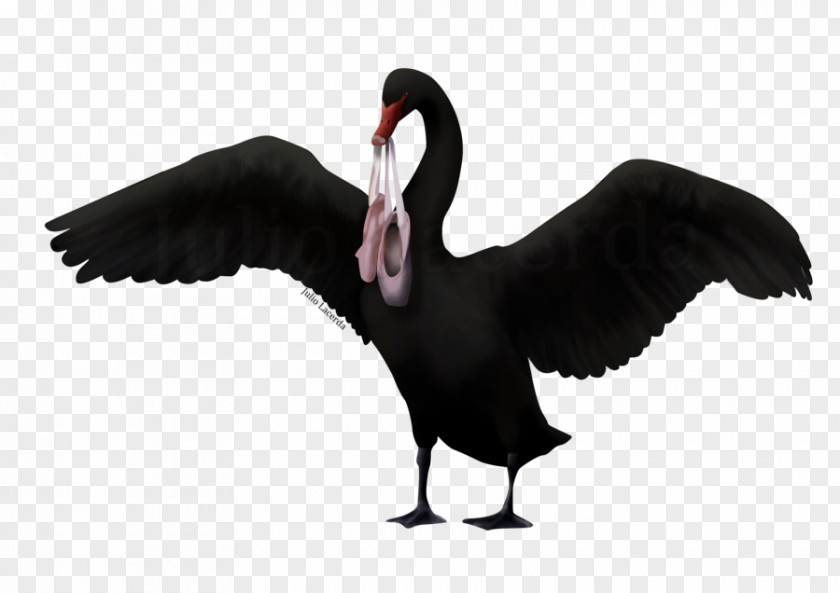 Animation Cygnini Goose PNG