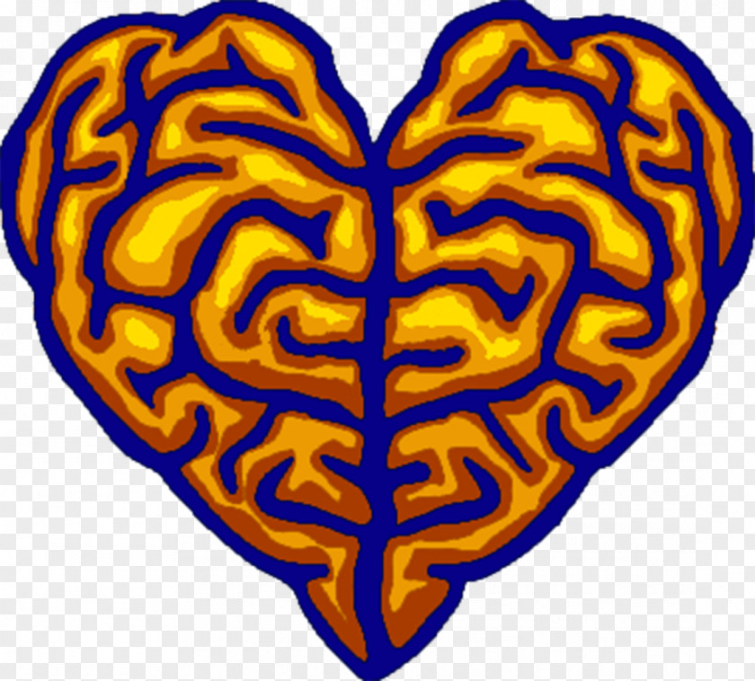 Brain Heart Fé Racional Love Mind Romance Film PNG