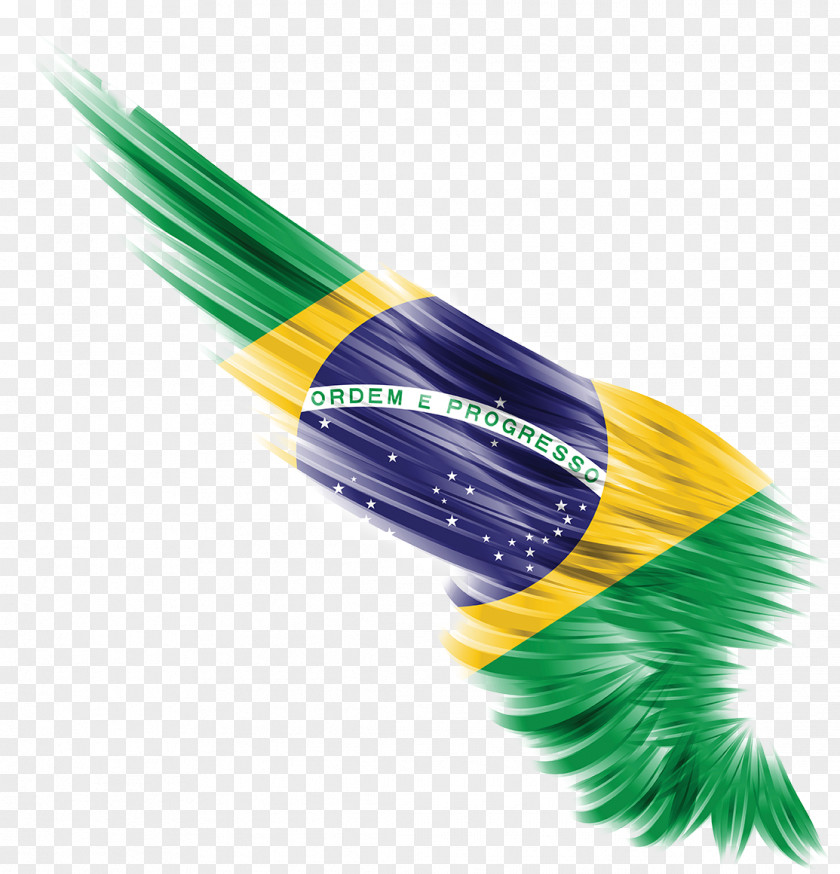 Flag Of Brazil Bulgaria Wing Pakistan English PNG
