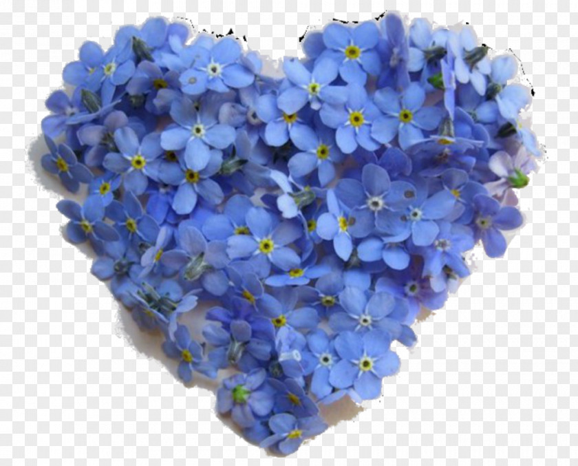 Flower Blue Rose Color Heart PNG