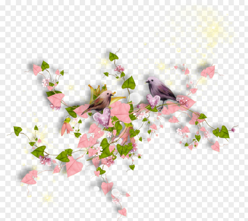 Flower Clip Art PNG