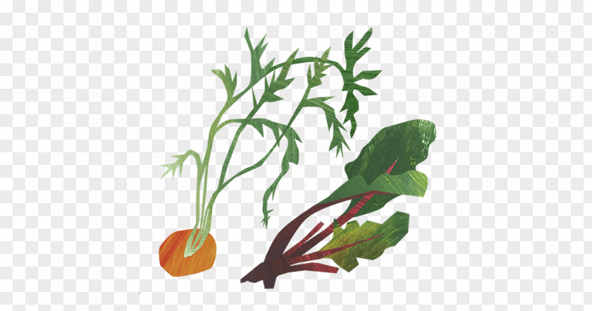 Leaf Herb Unicorn Grocery Organic Food Vegetable PNG