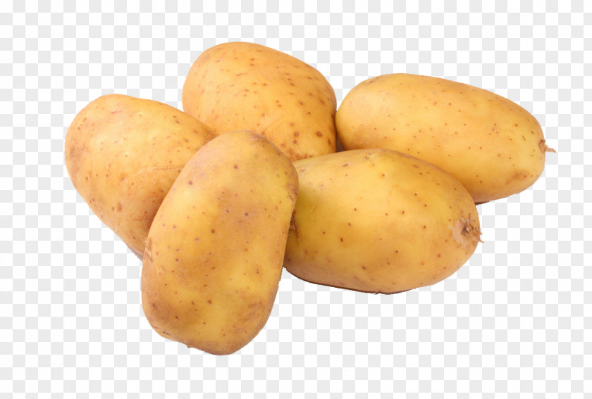 Potato Mashed Ricer Purxe9e Masher PNG