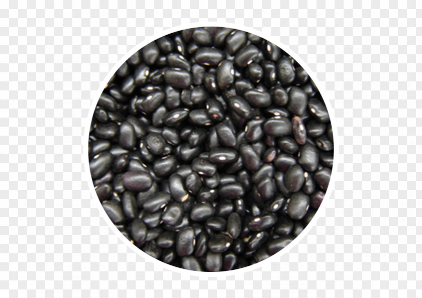 Rice And Beans Refried Organic Food Black Turtle Bean PNG