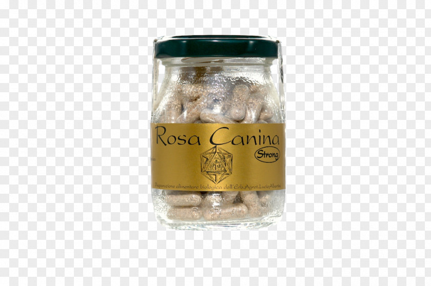 Rosa Canina Food Dog-rose Barbados Cherry Herbalism Ascorbic Acid PNG