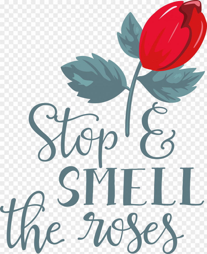 Rose Stop And Smell The Roses PNG