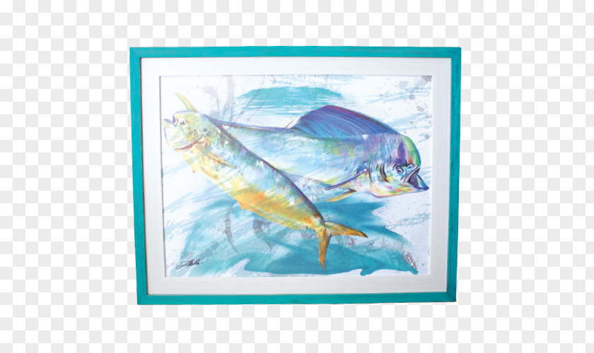 Sea Life Marine Mammal Watercolor Painting Fish Biology PNG