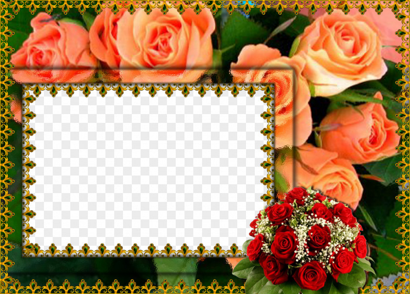 Abstract Floral Frame Flower Picture Frames Film Clip Art PNG