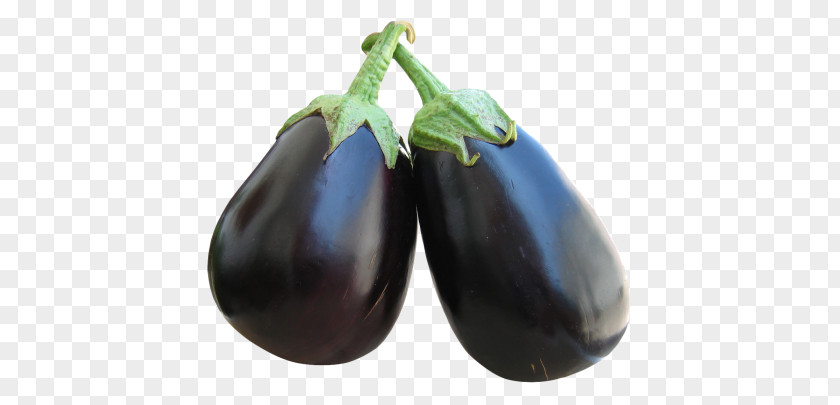 Eggplant Baingan Bharta Bhaji Fruit PNG