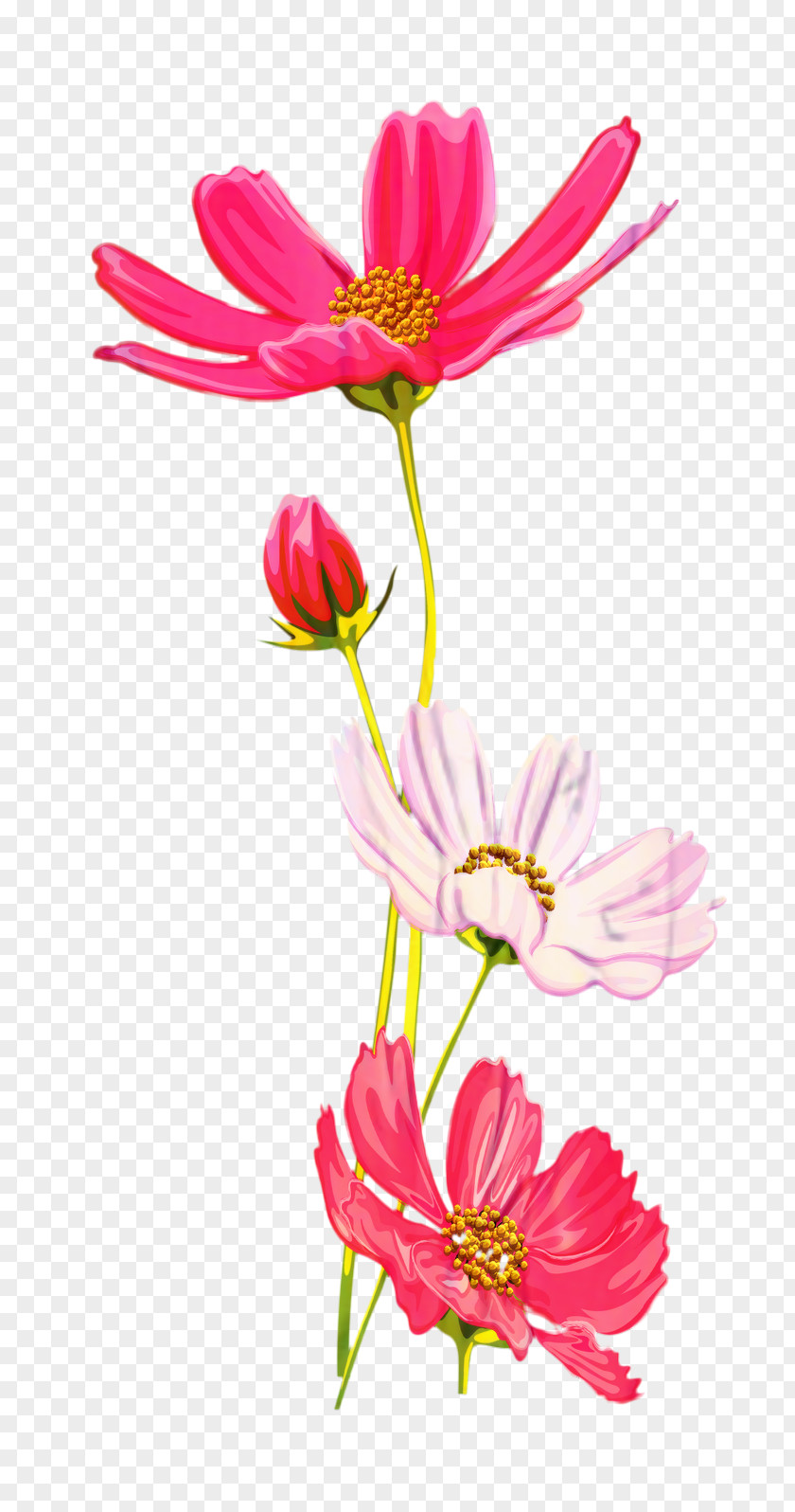 Gerbera Plant Stem Drawing Of Family PNG