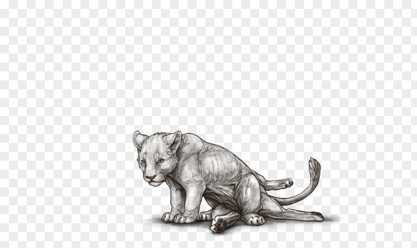 Lion Tiger Cat Dog PNG