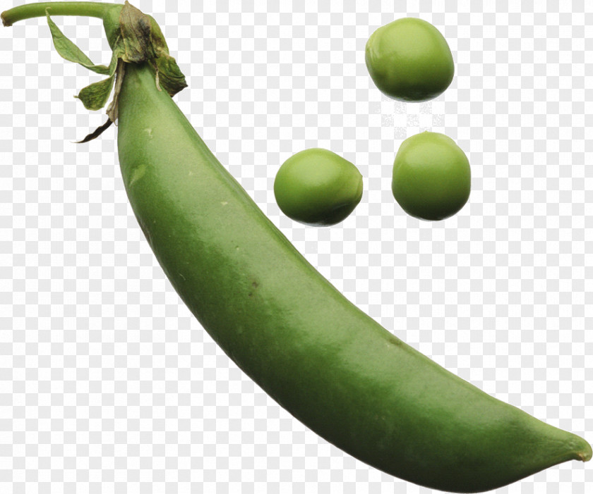 Pea Vegetable Food Clip Art PNG