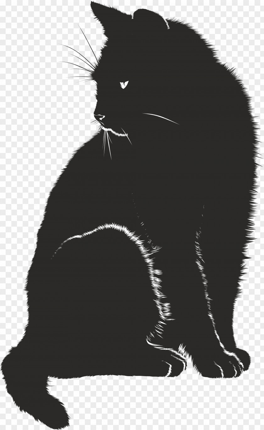 Black And White Cat Pet Sitting Kitten Clip Art PNG