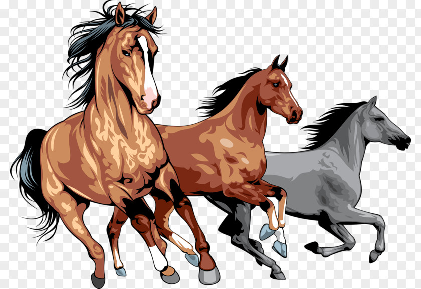Horse Pony Royalty-free Clip Art PNG