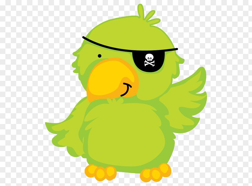 Pirate Parrot Piracy Papagaio De Pirata Drawing PNG