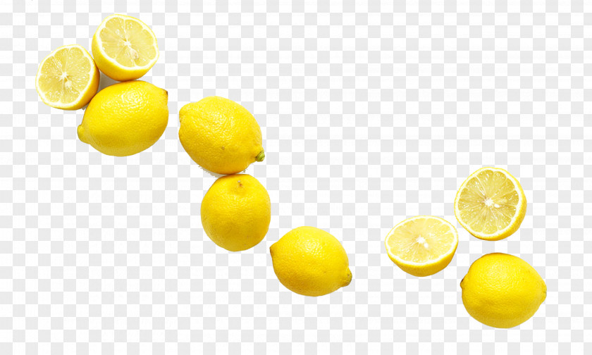 Still Physical Product Small Fresh Lemon When Life Gives You Lemons, Make Lemonade Juice Tonic Water PNG