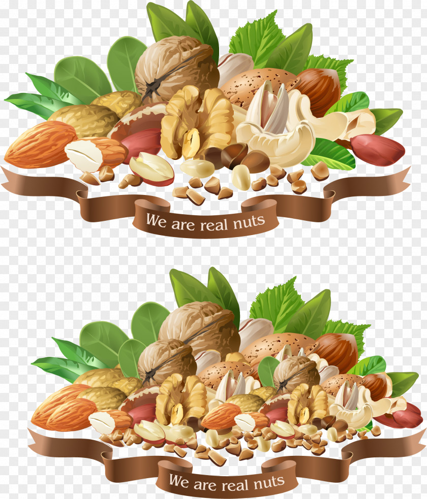 Vector Hand Painted Nuts Collection Nucule Royalty-free Stock Photography Illustration PNG