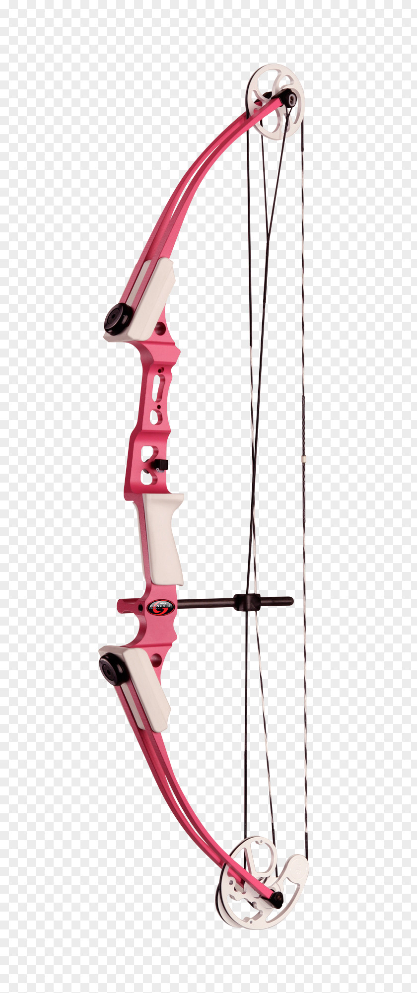 Arrow Compound Bows Bow And Archery Hunting PNG