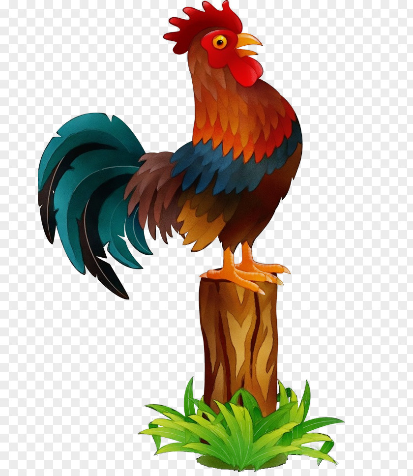 Bird Chicken Rooster Beak Comb PNG
