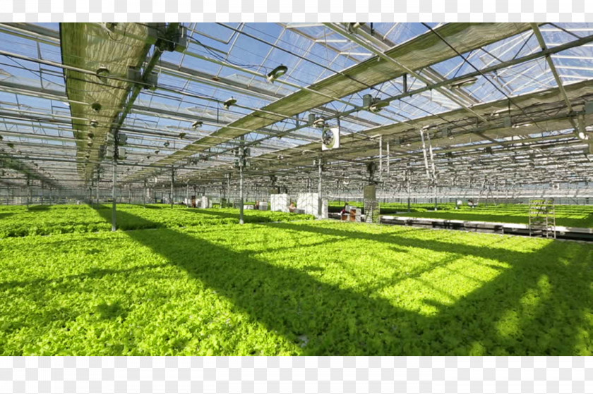 Building Greenhouse Daylighting Roof Industry PNG
