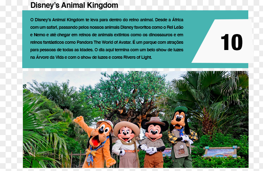 Disney's Animal Kingdom The Tree Of Life Expedition Everest Kilimanjaro Safaris Walt Disney Company Disneyland PNG
