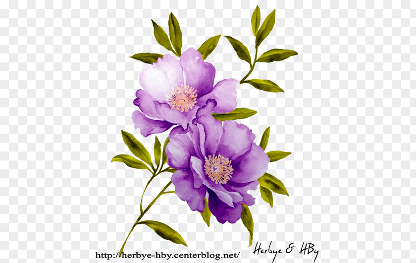 Flower Watercolor: Flowers Stock Photography Stock.xchng Watercolor Painting PNG