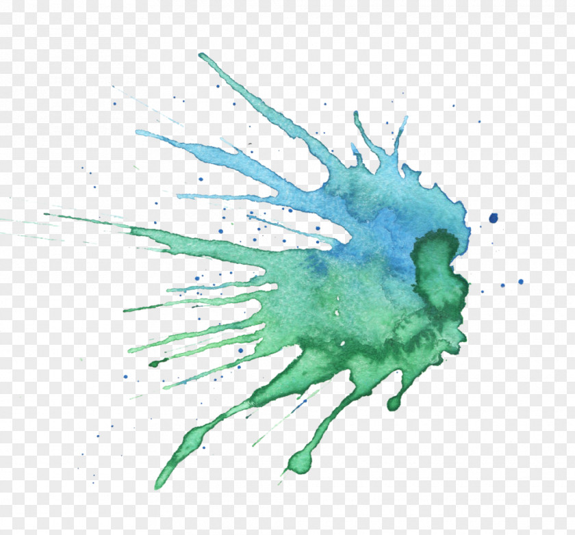 Illustration Graphics Turquoise Invertebrate PNG