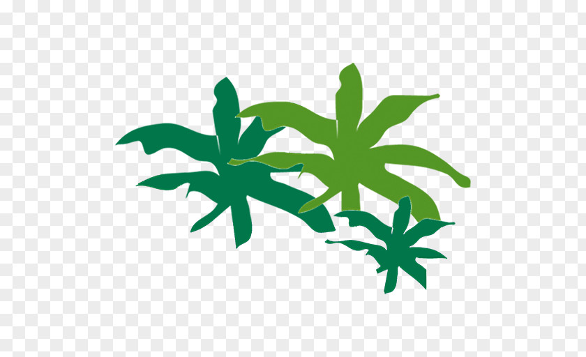 Leaf Green Plant Stem Flower Clip Art PNG