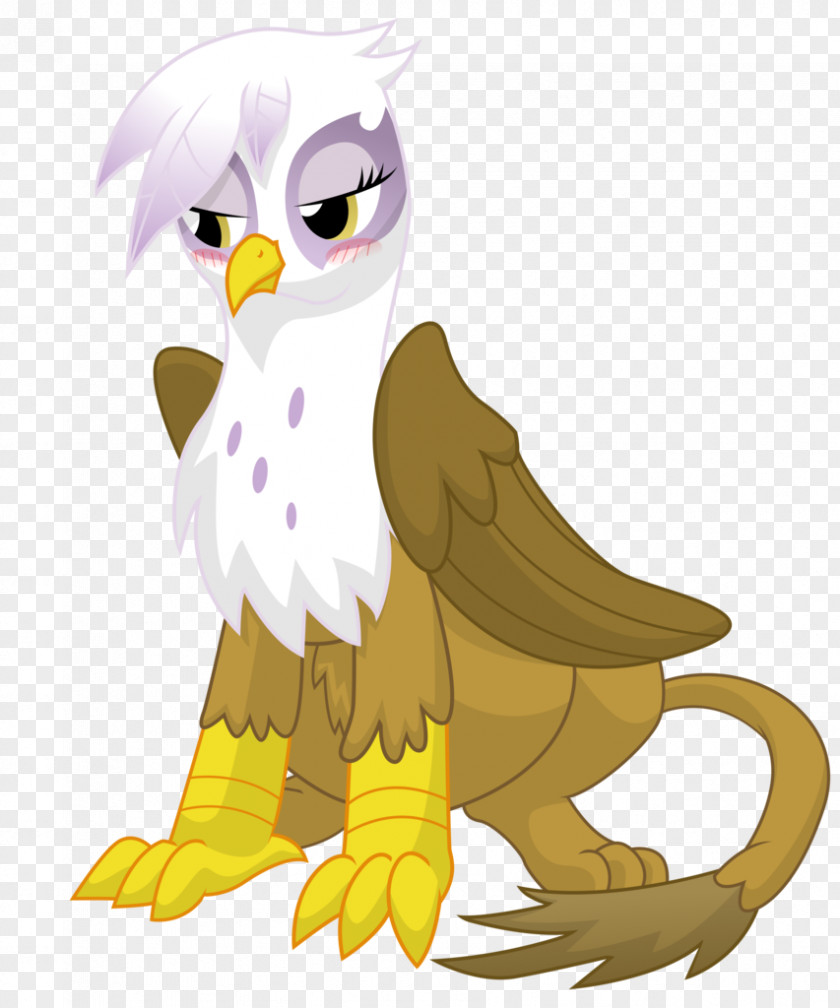 Owl Pony Beak Blog PNG