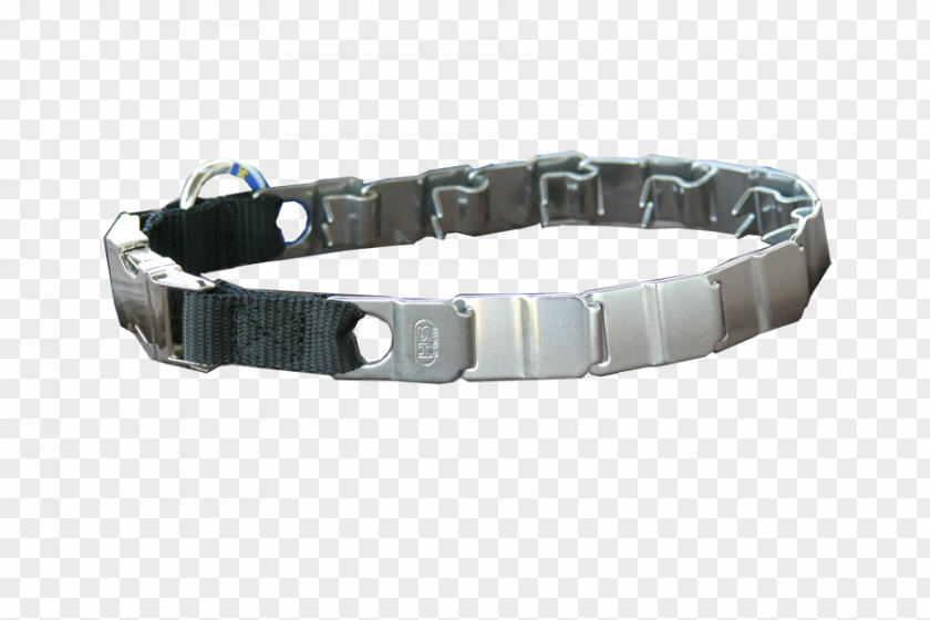 Rehabilitation Chart For Teeth Bracelet Dog Collar Metal PNG