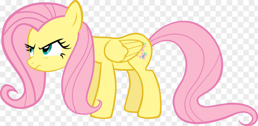 Shine Vector Fluttershy Rainbow Dash Pony Applejack Rarity PNG