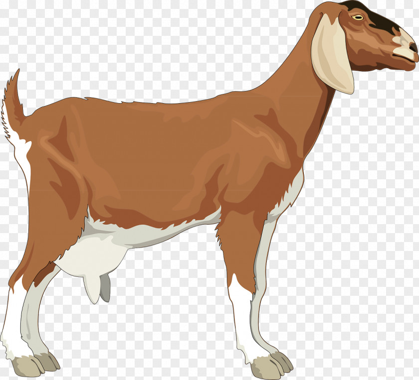 Brown Goat Boer Black Bengal Clip Art PNG