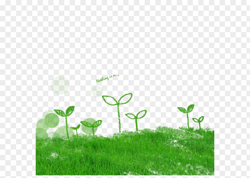 Grass Computer File PNG