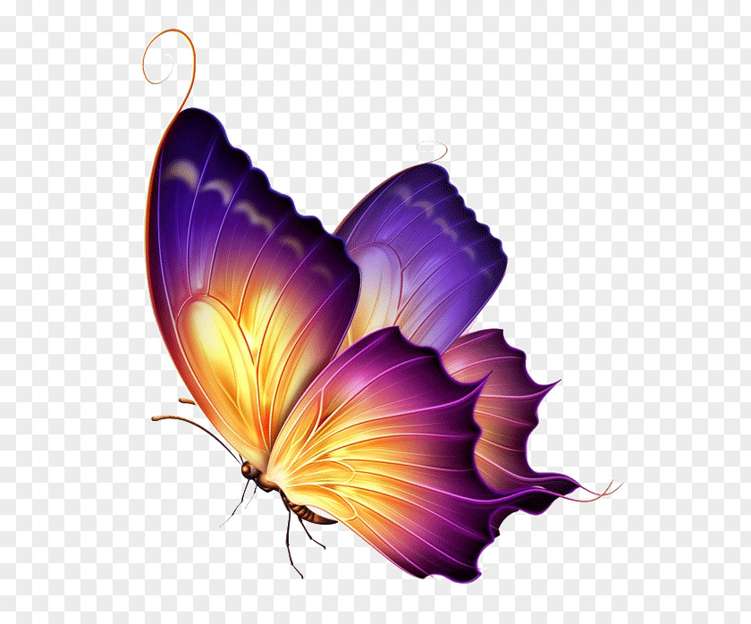 Group Of Butterfly Clip Art Tattoo Purple PNG