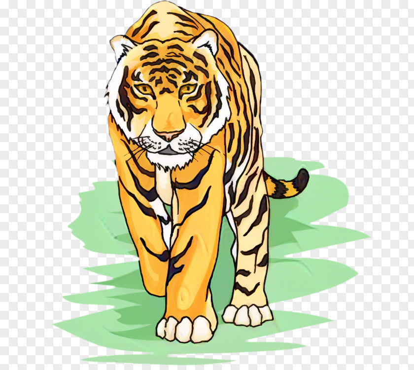 Tiger Lion Clip Art Whiskers Illustration PNG