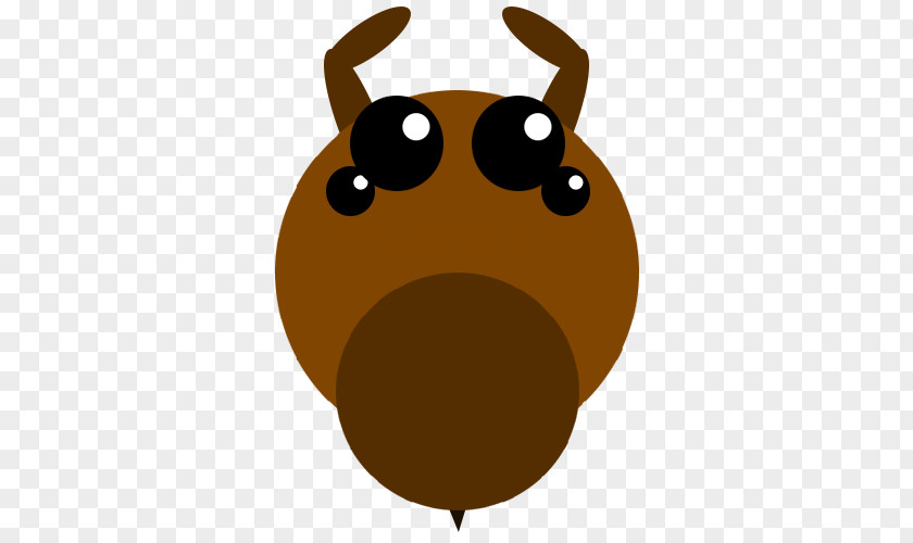 Dog Whiskers Snout Insect PNG
